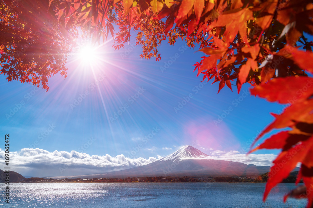 日本秋色富士山