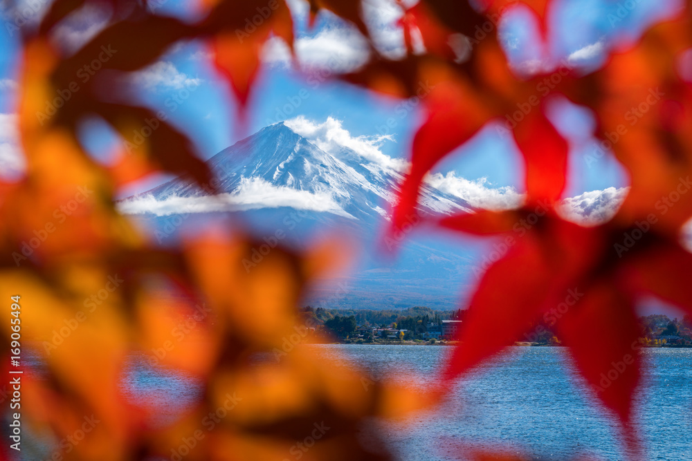 日本秋色富士山