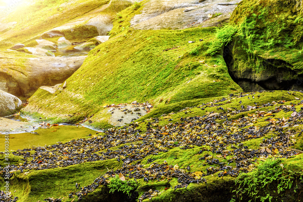 Guilin Yangshuo beautiful natural scenery