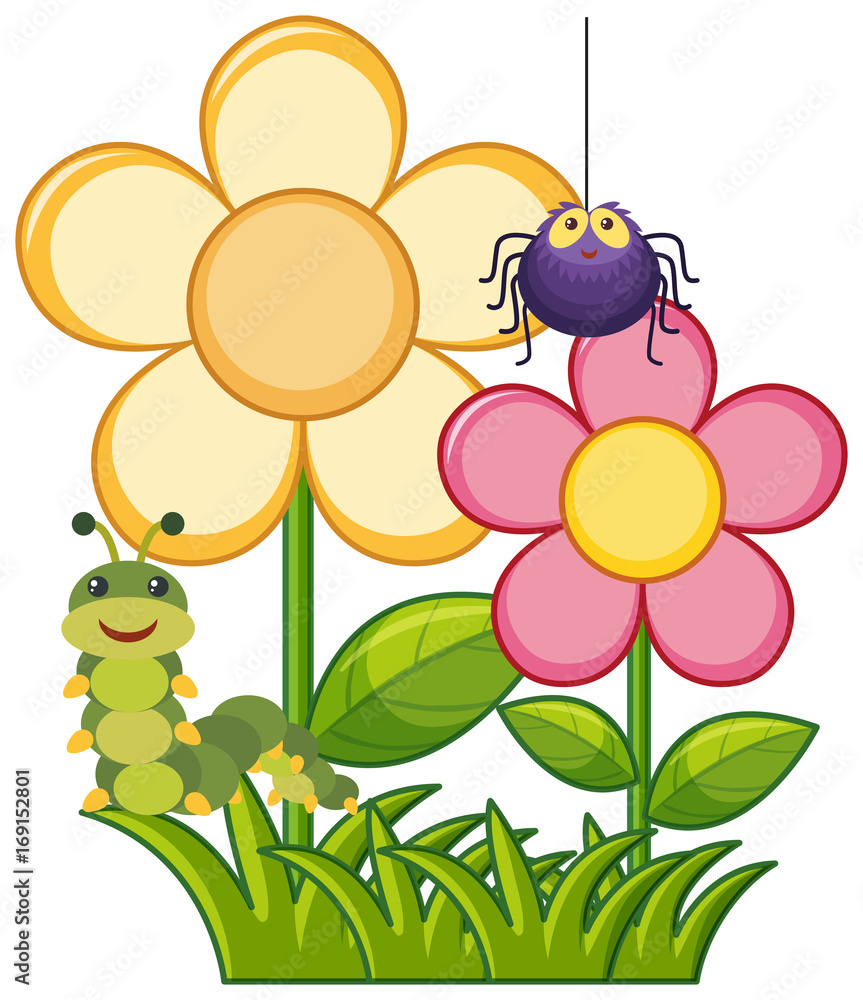 Spider and caterpillar in flower garden