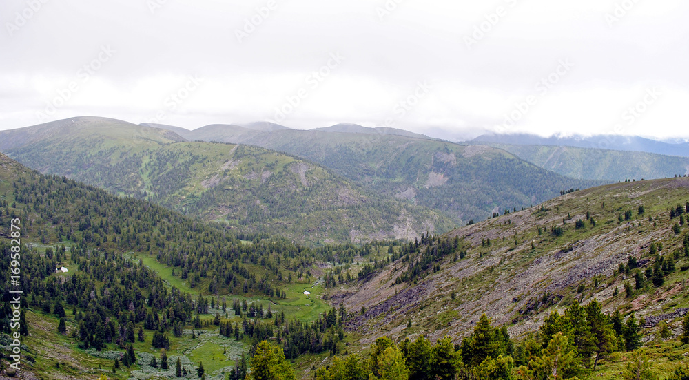 夏季山地景观。俄罗斯贝加尔湖的山丘和草地景观