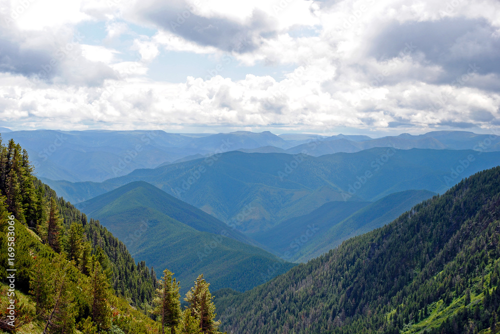 夏季山地景观。俄罗斯贝加尔湖的山丘和草地景观