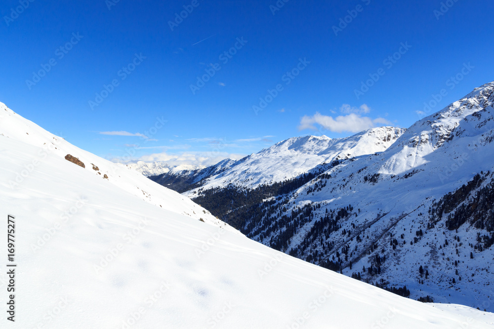 奥地利斯塔拜阿尔卑斯山冬季有雪、树和蓝天的山脉全景