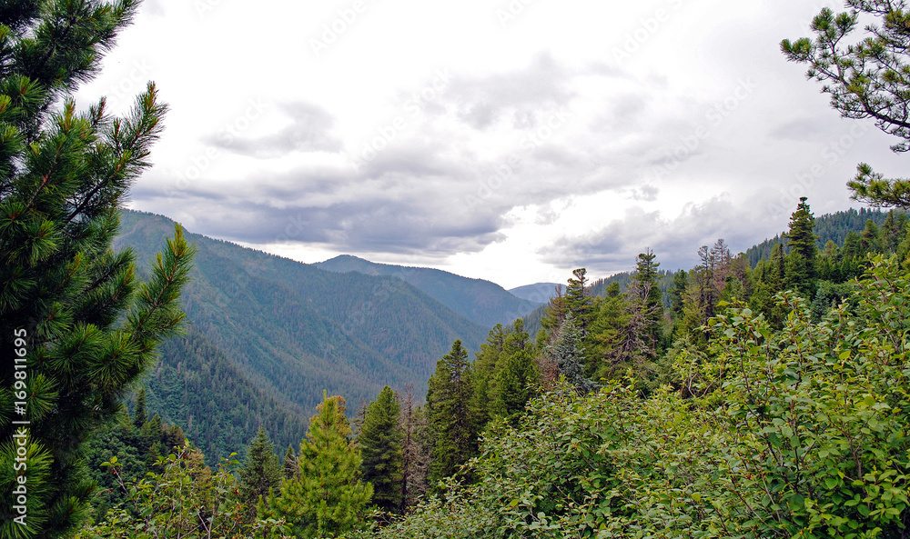 夏季山地景观。俄罗斯贝加尔湖的山丘和草地景观