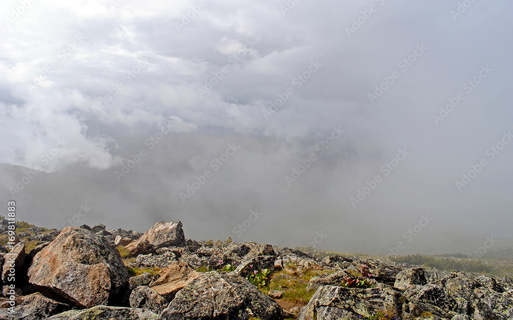 Summer mountain landscape. View of the hills and meadows on Lake Baikal, Russia