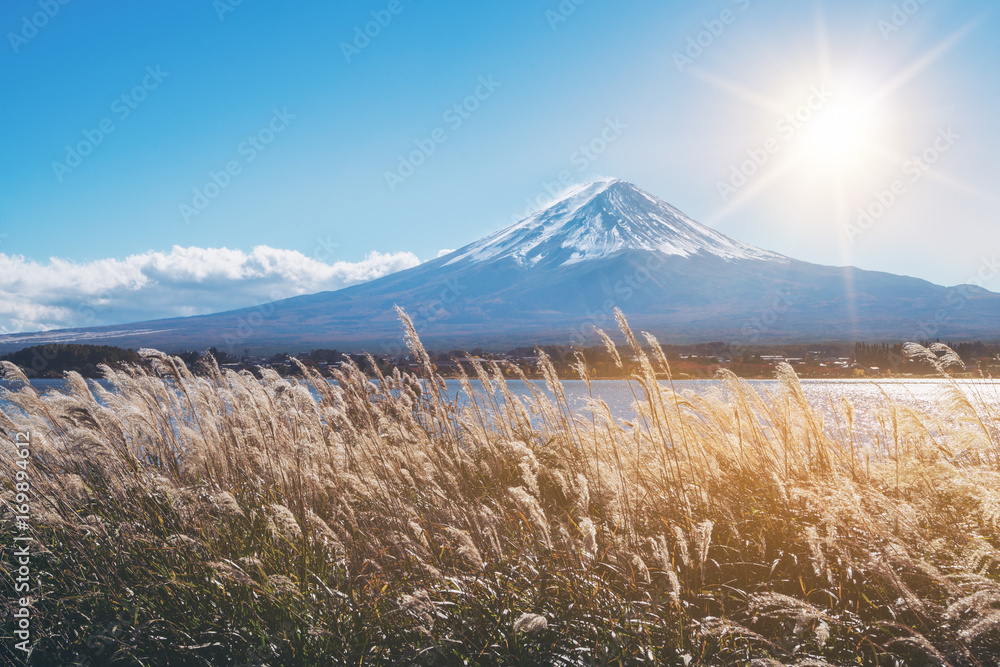 日本秋色富士山