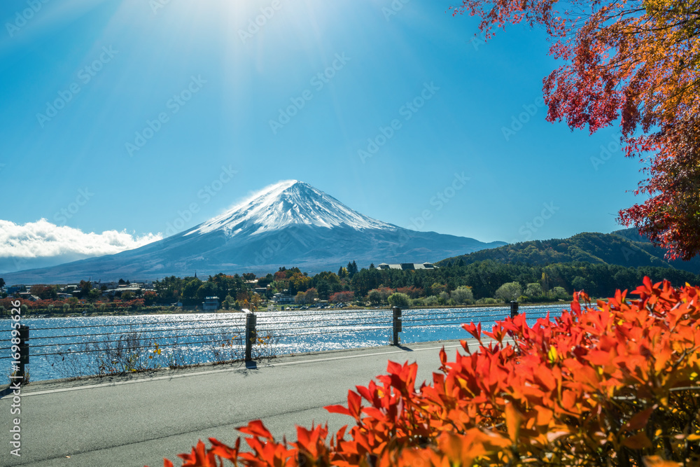 日本秋色富士山