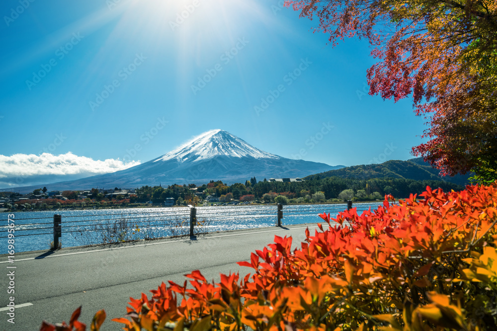 日本秋色富士山