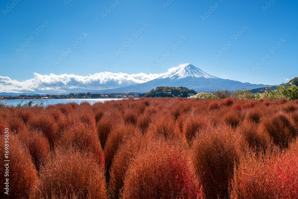 日本秋色富士山