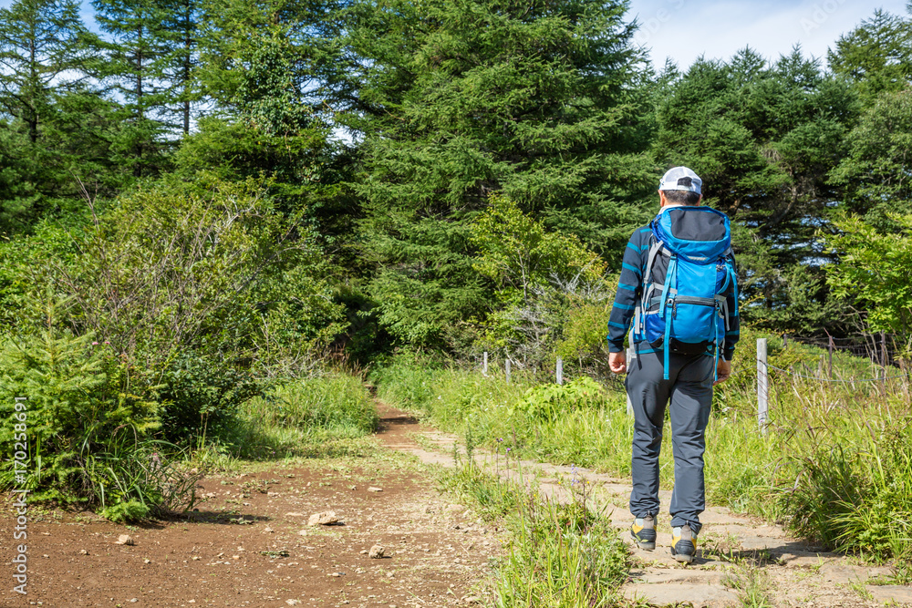 気持ちのよい朝の登山道