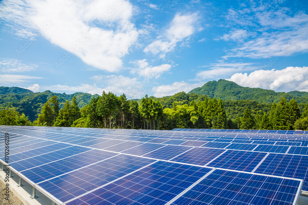 太陽光発電のパネル群