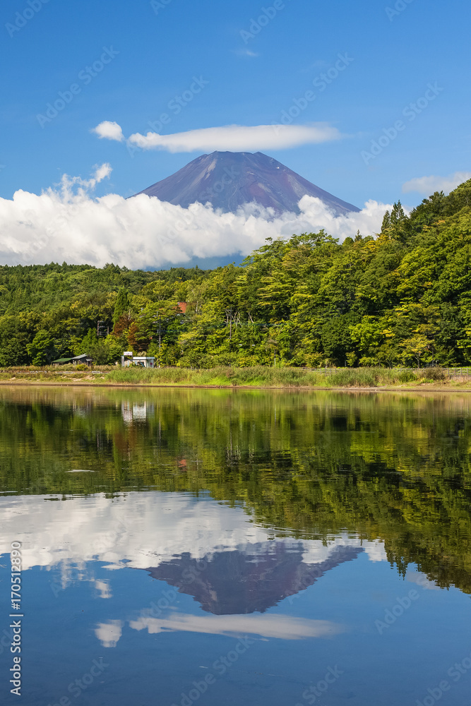 富士山和山中湖夏季