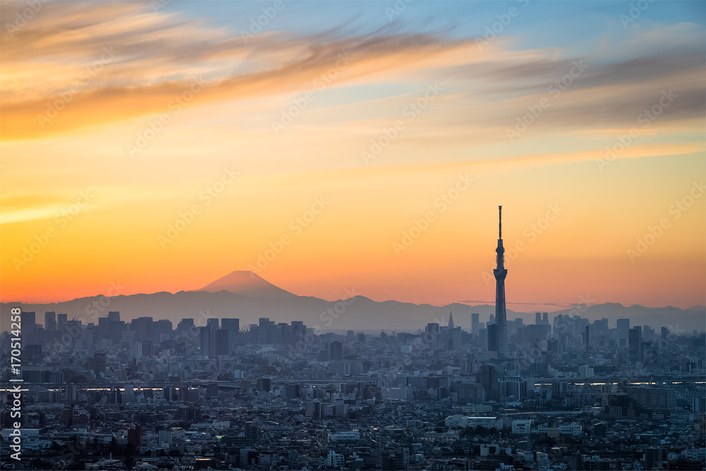 美丽的东京日落城市景观、东京天树地标和冬季日落的富士山