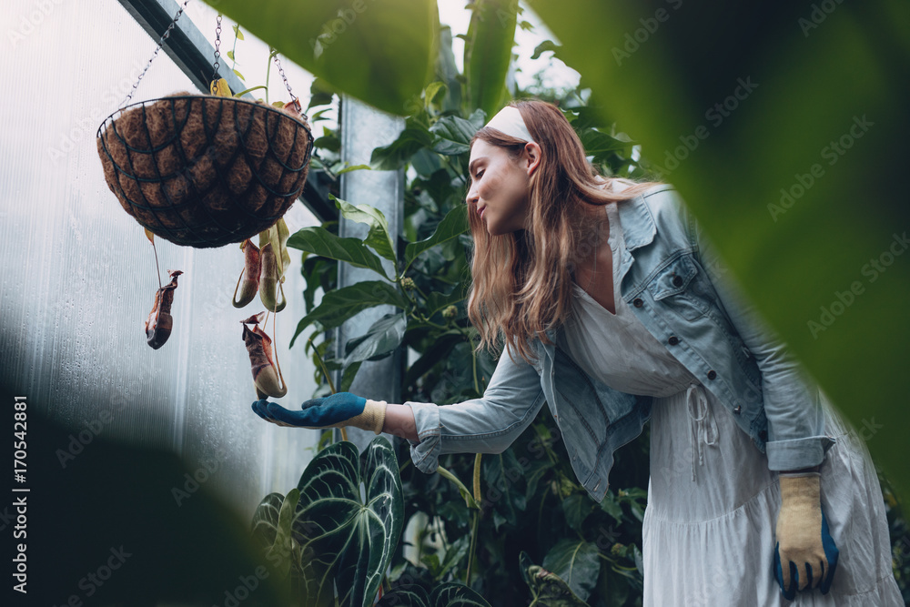 照顾植物的女园丁