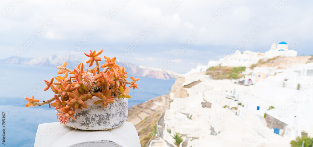 Pot with a cactus on the veranda. Oia Santorini Island