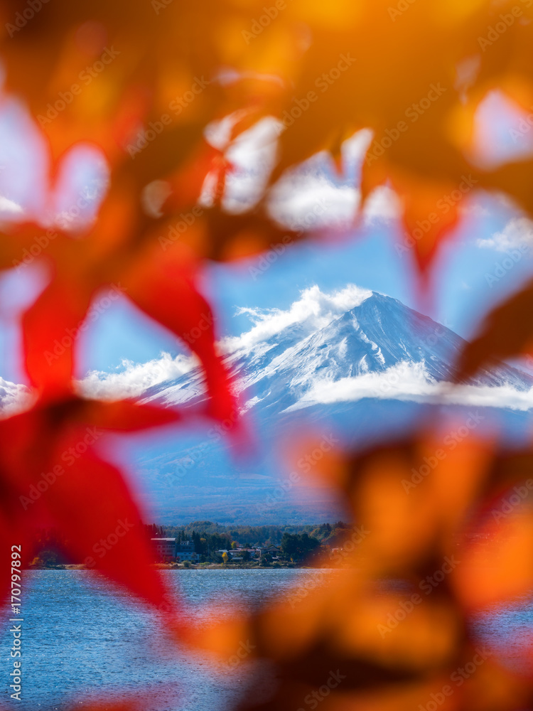 Mount Fuji in Autumn Color, Japan