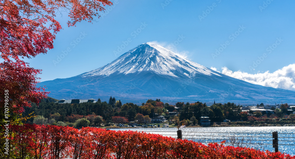 日本秋色富士山