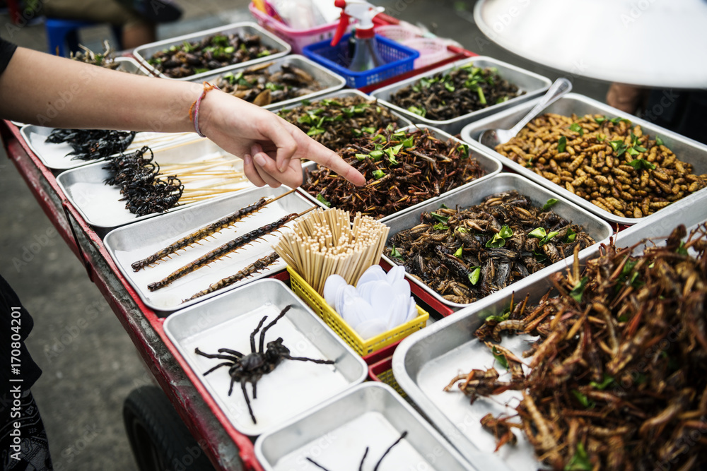 泰国街头小吃摊手工点熟昆虫特写