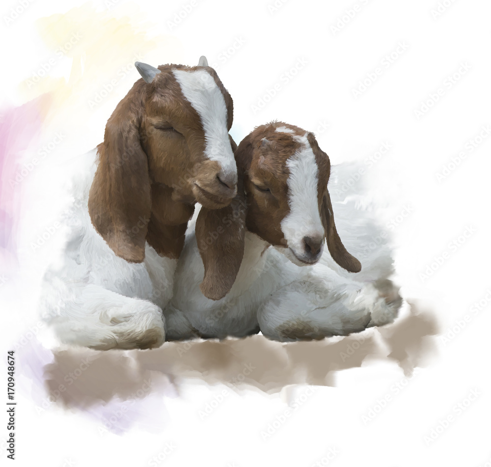 Young Boer goats watercolor