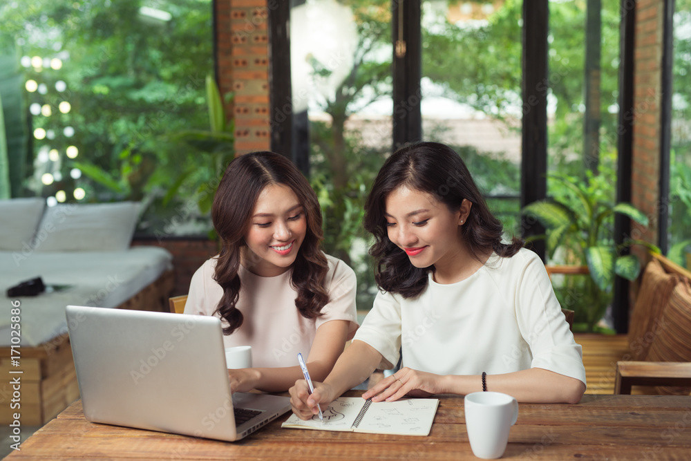 Two businesswomen working together. Girl is sitting at table in front of laptop