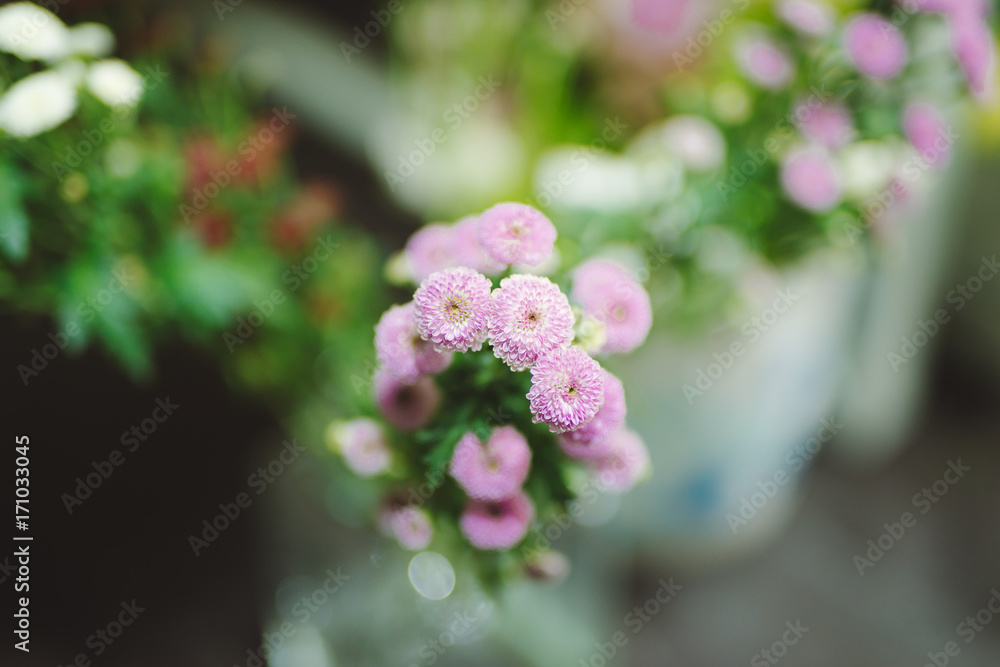 花店前的花束装饰