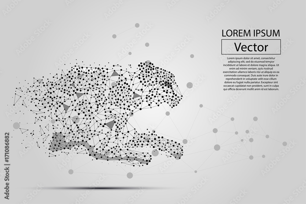 Abstract image of cheetah made of dots, points and mash lines on white background with an inscriptio