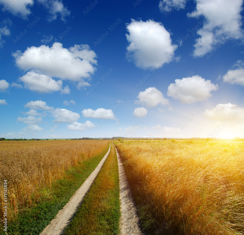 road in field