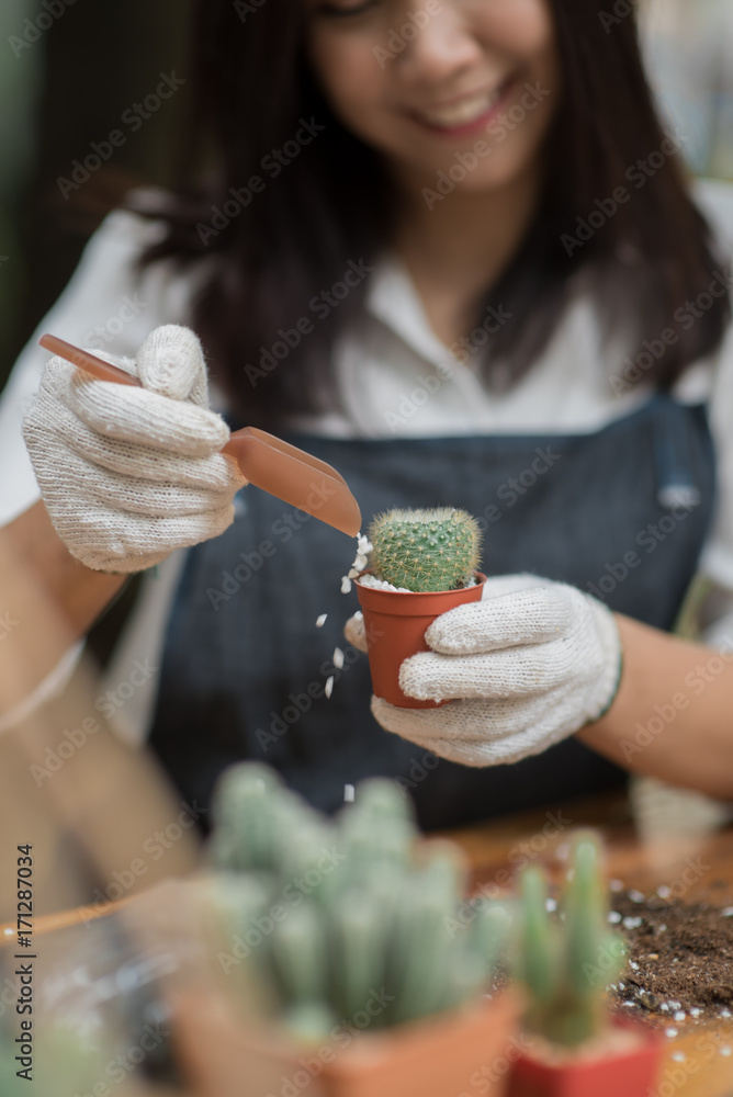 Portrait young Asian girl planting little cactus in a pot