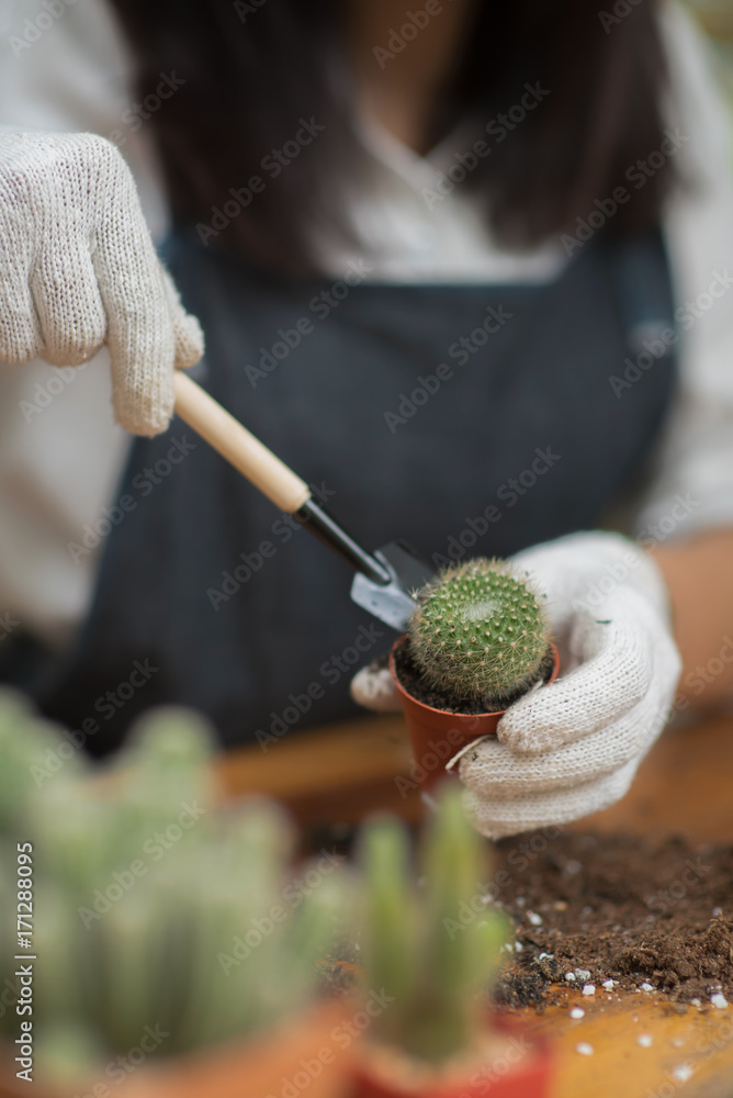 亚洲年轻女孩在花盆里种植小仙人掌的肖像