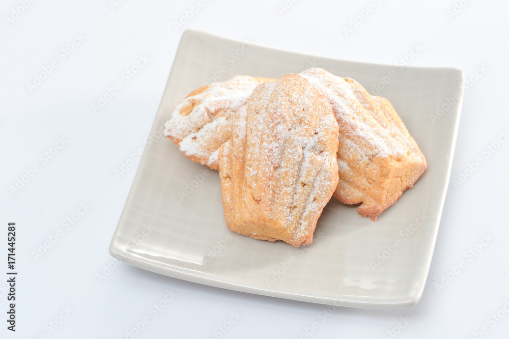 Freshly baked Madeleine cookies sprinkled with sugar powder close-up on the table, petite madeleine 