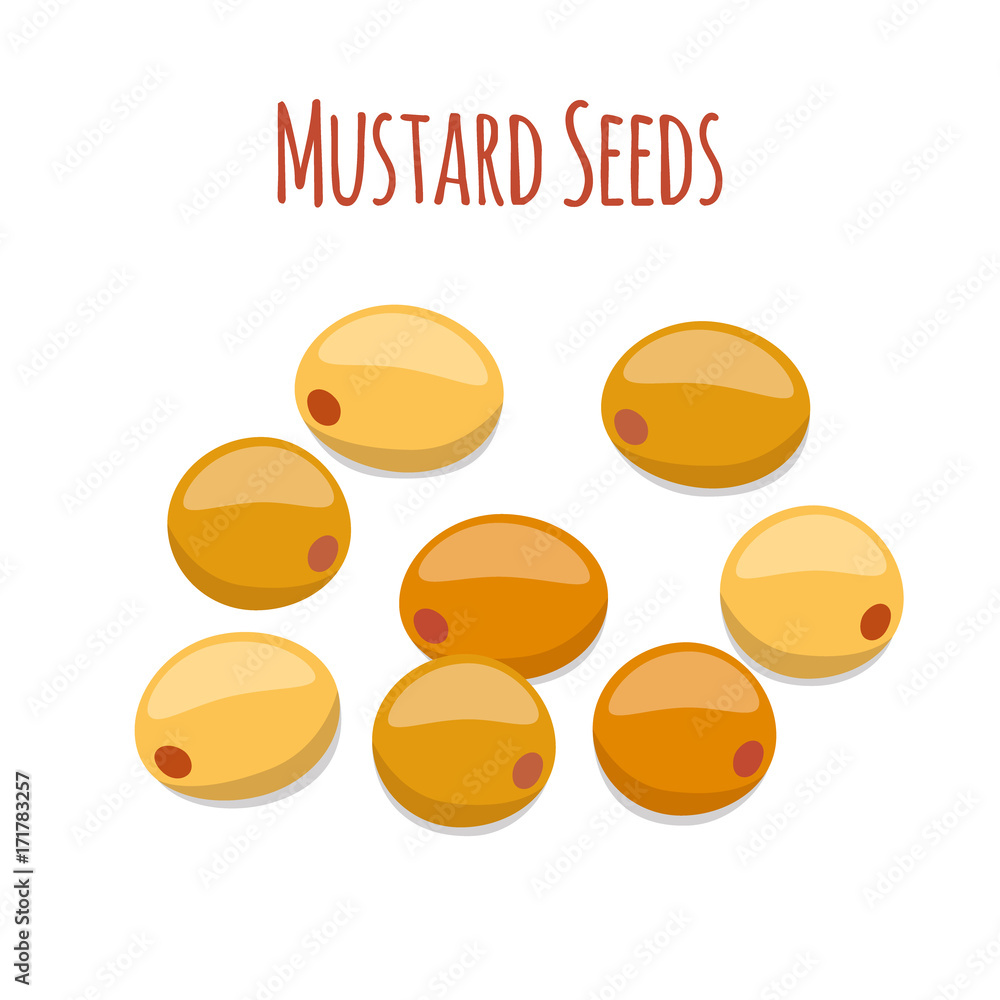 芥末籽。有机调味品。卡通平面风格。矢量插图