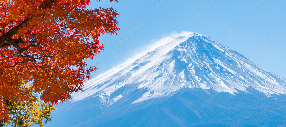 日本秋色富士山