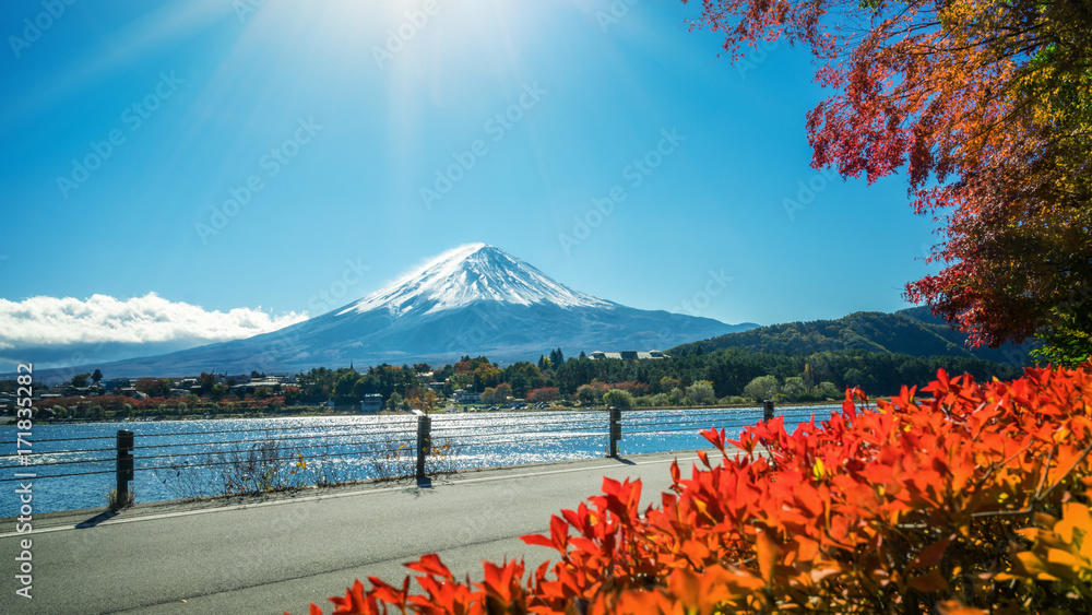 日本秋色富士山