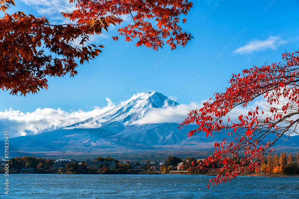 日本秋色富士山