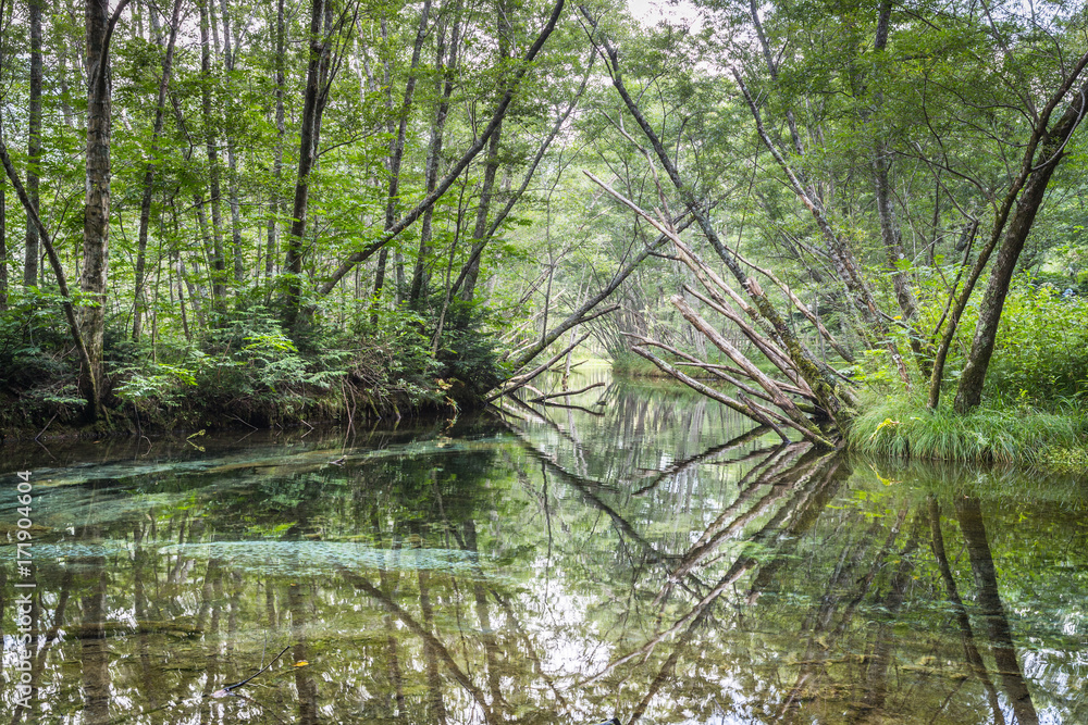 Kamikochi，日本北部长野县阿尔卑斯山的热门度假胜地