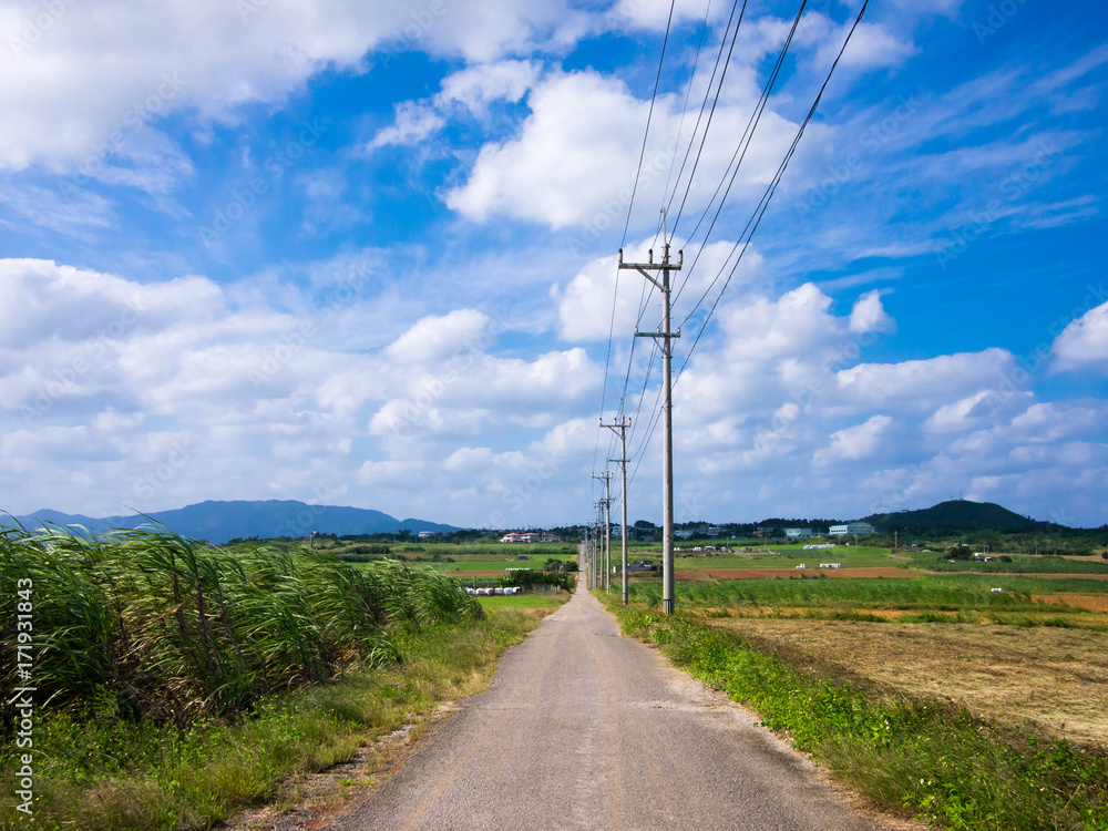 Sugar Road 小浜島