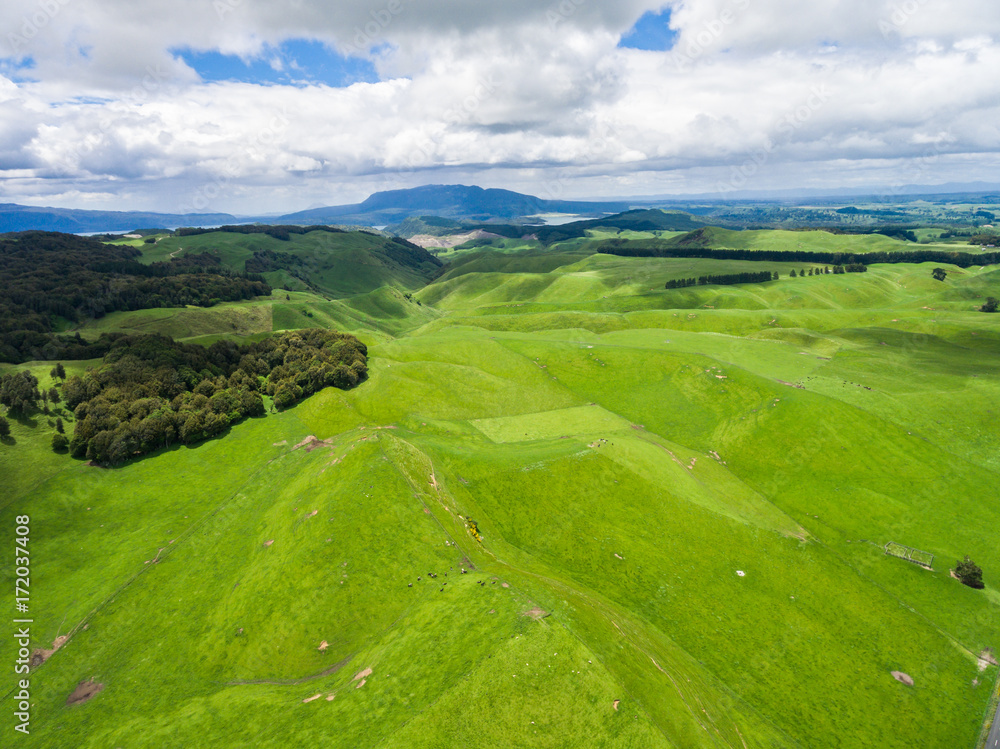 Aerial view sheep farm hill, Rotorua, New Zealand