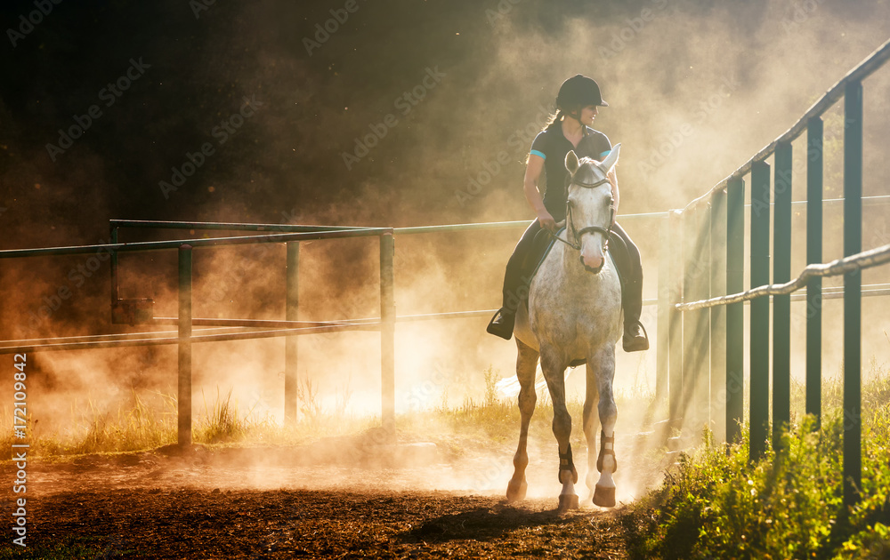 Woman riding a horse in dust on paddock