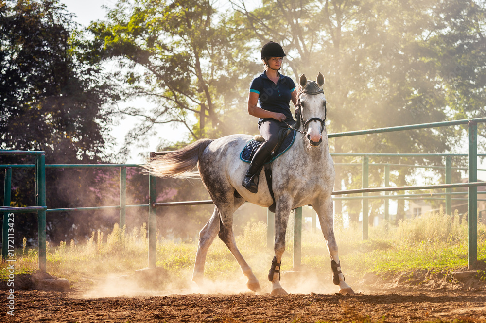 Woman riding a horse in dust on paddock