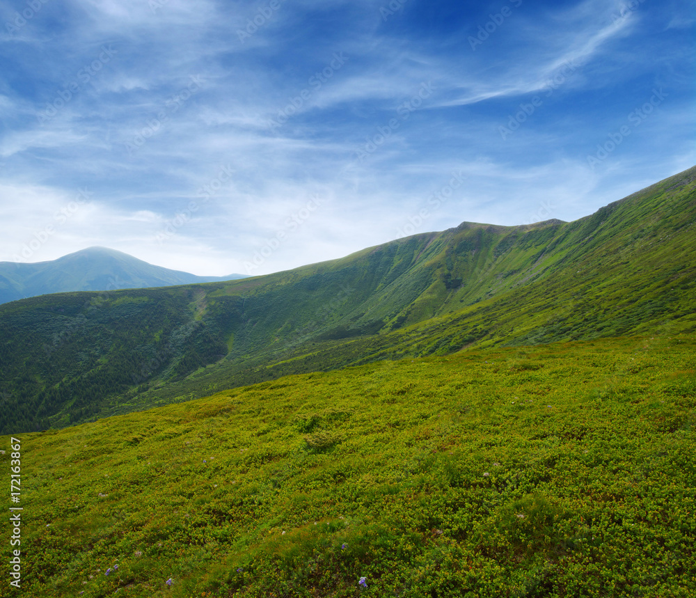 Mountain landscape in summer