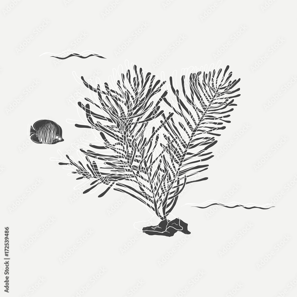 Sea coral underwater vector illustration