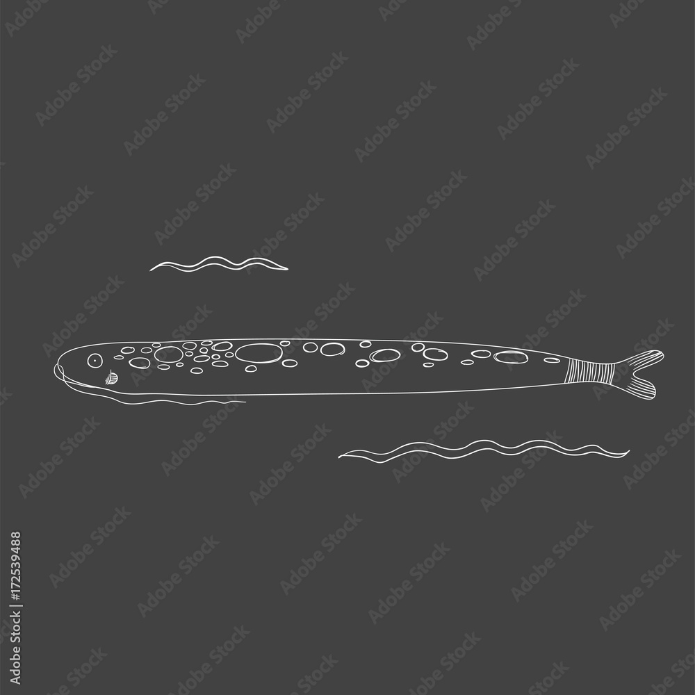 Vector of underwater creatures