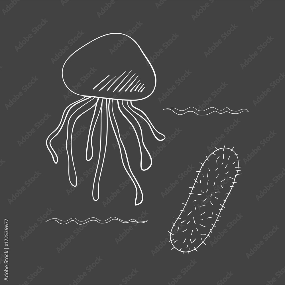 Vector of underwater creatures