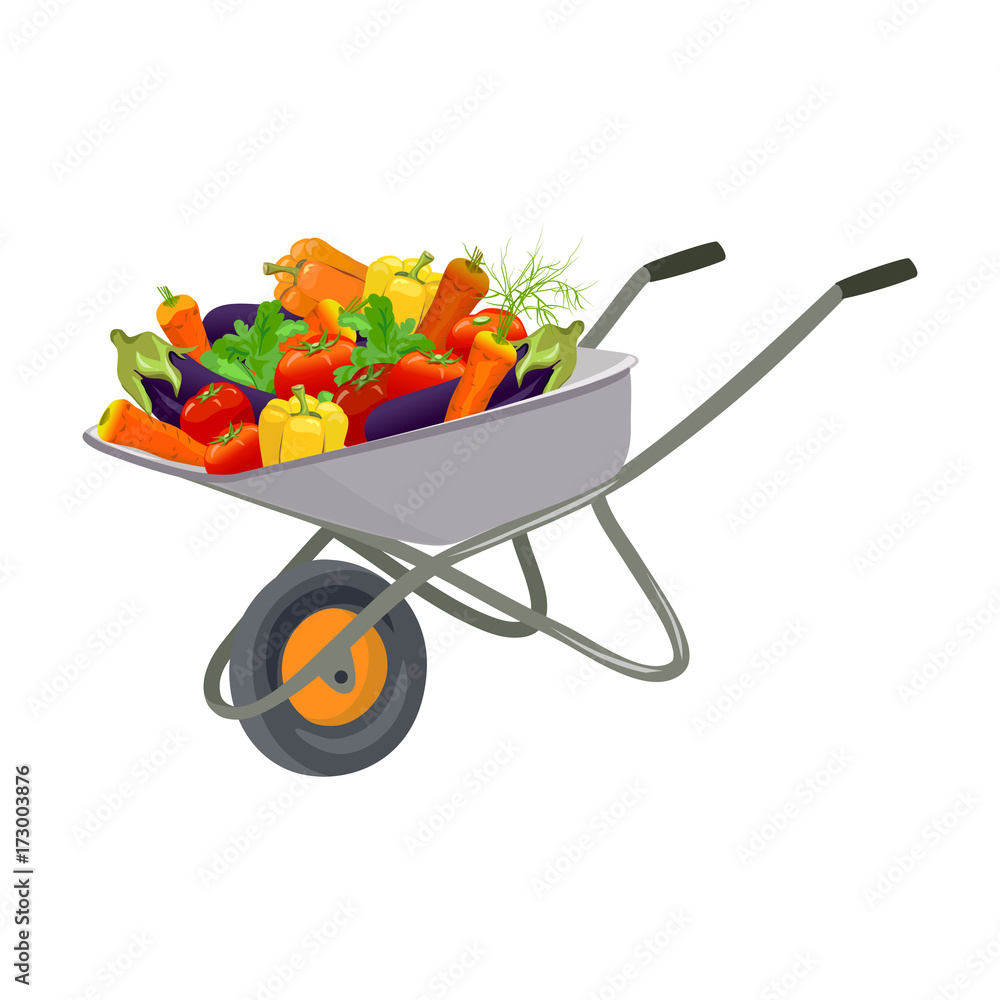 Garden trolley with the harvest of vegetables