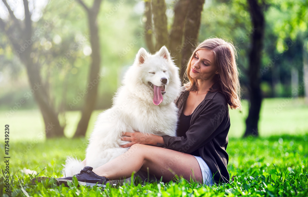 萨摩耶犬和主人在公园一起玩耍