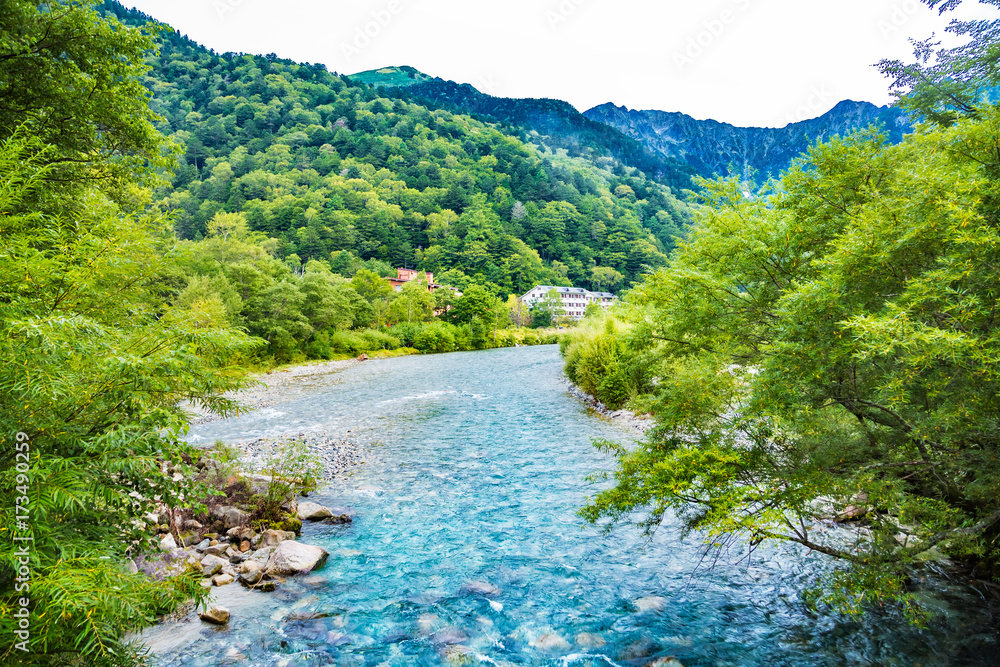 山奥の木々と川の流れ