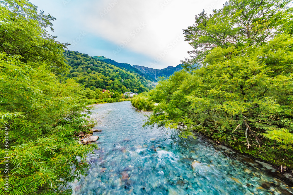 山奥の木々と川の流れ