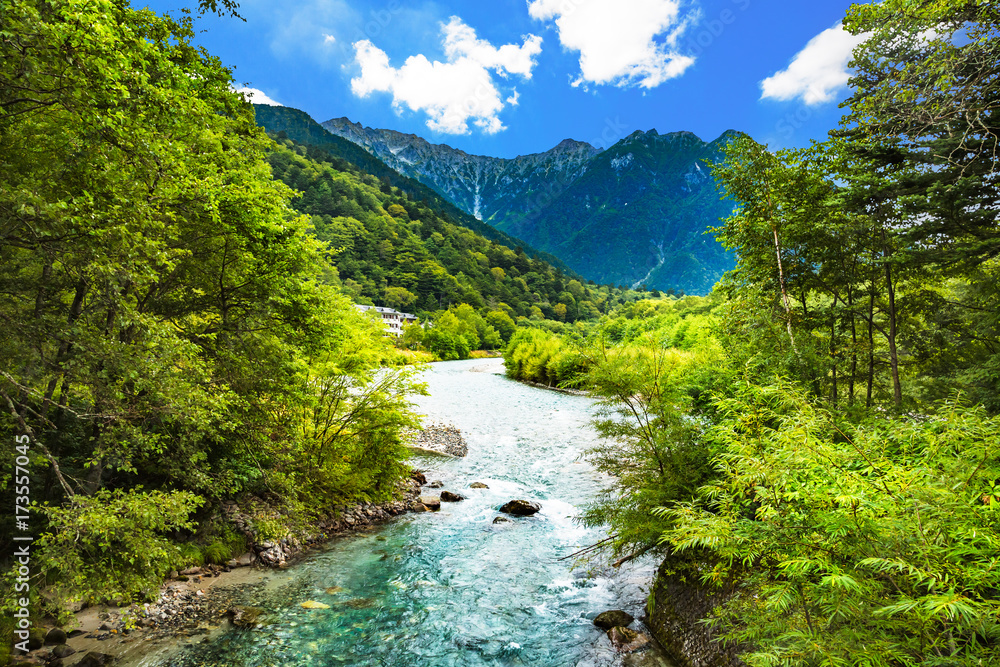 山奥の木々と川の流れ