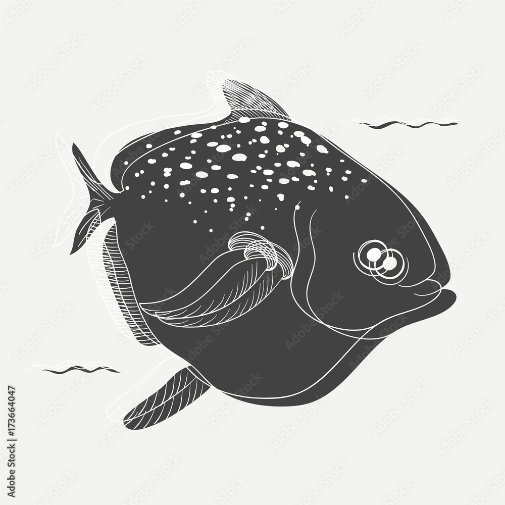 Illustration of fish isolated on background 