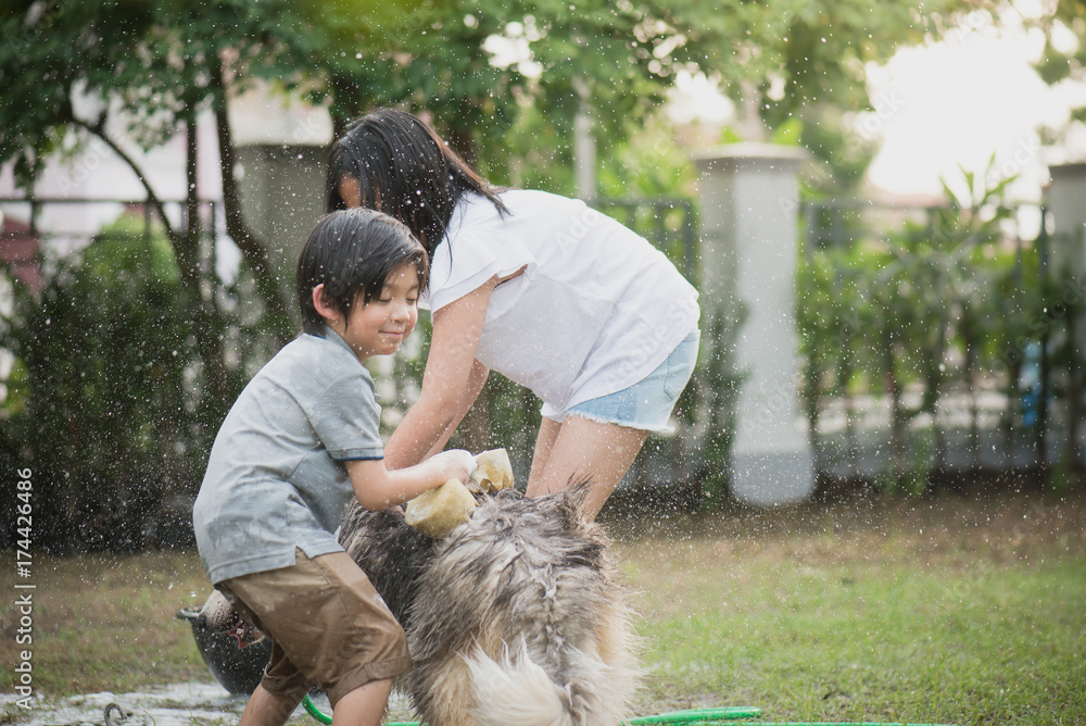 孩子们在夏天洗西伯利亚哈士奇狗